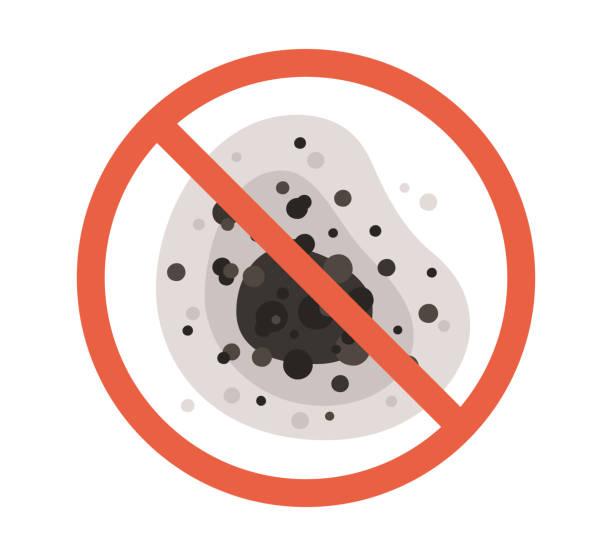 Best Indoor Air Quality Assessment  in Phillipsburg, GA