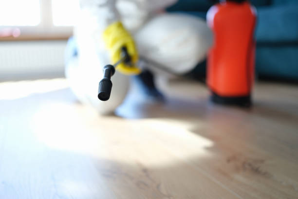 Best Industrial Mold Remediation  in Phillipsburg, GA