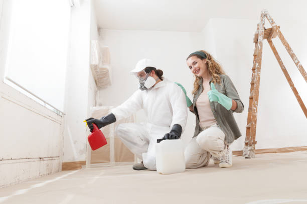 Phillipsburg, GA Mold Removal Company